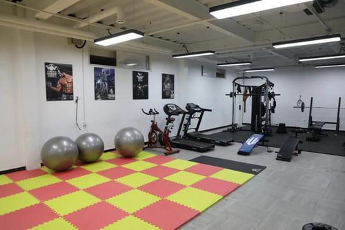 北京畫室艾藝荷馬教育,為美術(shù)生的夢(mèng)想保駕護(hù)航