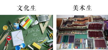 這才是我選擇學(xué)美術(shù)的真正原因