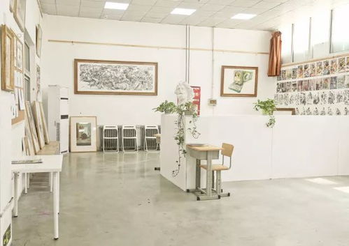 北京欒樹畫室 王者歸來 欒樹畫室高手復(fù)讀班優(yōu)惠計(jì)劃