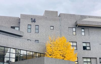 在央美上學是什么感覺?今天北京畫室老師帶你來體驗一把!