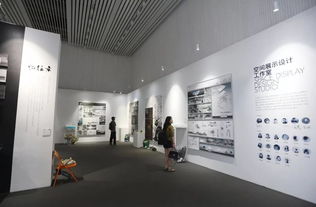 北京美術(shù)高考畫室 2019中央美院本科生畢業(yè)展開始啦