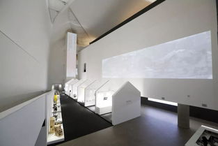 北京美術(shù)高考畫室 2019中央美院本科生畢業(yè)展開始啦