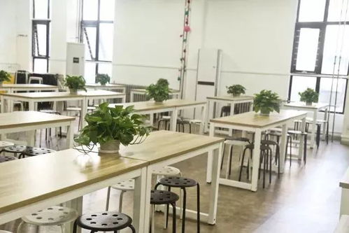 北京欒樹畫室 致復(fù)讀,追夢(mèng)敢不敢