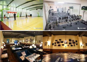 北京010畫室2019年招生簡(jiǎn)章