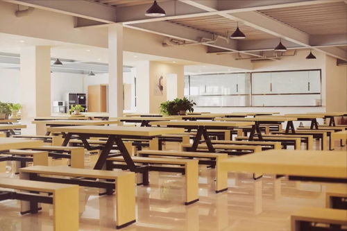 十一出門還是在家 出門去哪兒