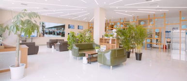 北京華藝名畫室端午開放日 央清作品展 現場深度評畫,還有小禮品放送哦