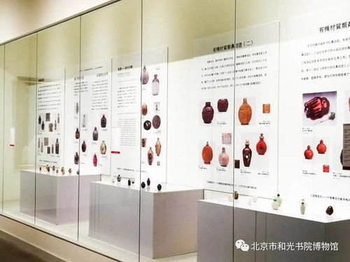 世界的冬奧，北京的技藝——通嚏東西中國(guó)鼻煙壺藝術(shù)精品特展在京舉辦
