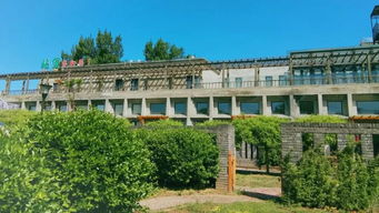 北京畫室?？紱_刺班 藝術人生的關鍵抉擇與理性審視