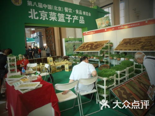 綠色菜籃子與藝術之旅 北京展覽館、周邊游與畫室完美融合